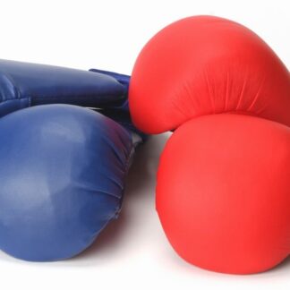 Karate mitts 3-12 years